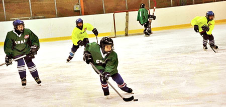 Компания «Диваны и Кресла» выступила спонсором хоккейного турнира «Ледовая дружина», который стартовал 19 декабря 2011 года