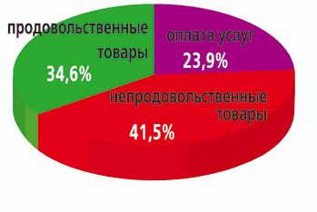 Сложившаяся структура потребления (2005 г.)