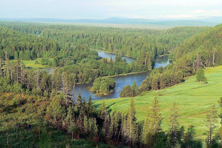 21 марта — Международный день лесов (International day of forests), учреждённый Генеральной Ассамблеей ООН