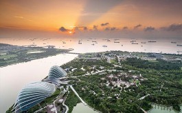 Сингапурские показы IFFS и NOOK Asia в 2020 году берут таймаут — чтобы переосмыслить накопившийся опыт и «перезарядить батарейки».